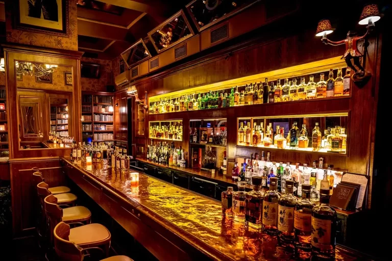 Best Bars in Prague Tynska Bar and Books