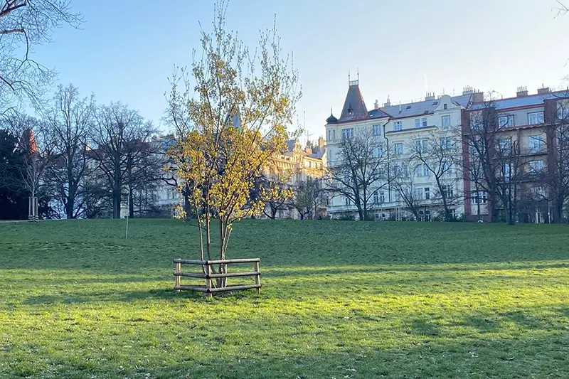 Best Parks in Prague - Reigrovy Sady Prague