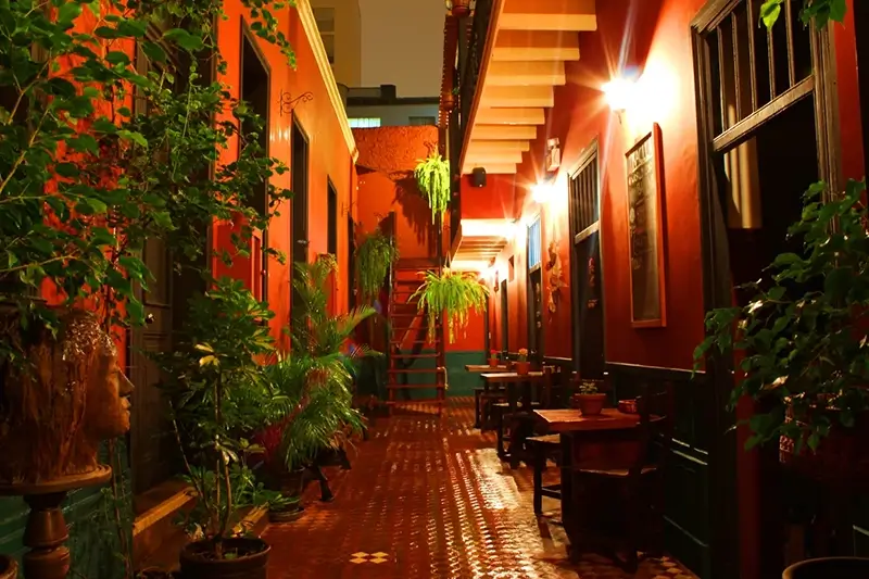 Lima Hostels - Kaclla The Healing Dog Hostel Common Area