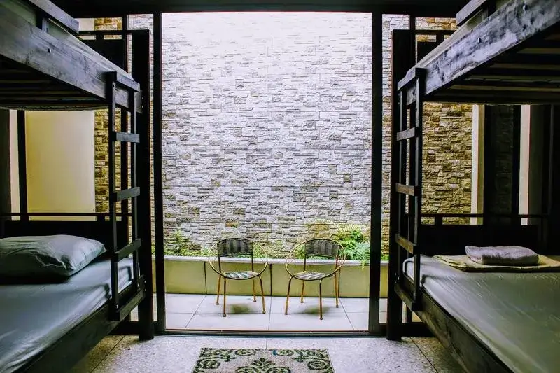 Best Hostels in San Jose - Stray Cat Hostel Dorm Room