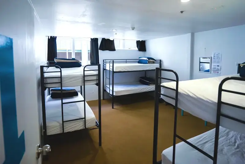Best Hostels in Auckland - The Attic Backpackers Dorm Room