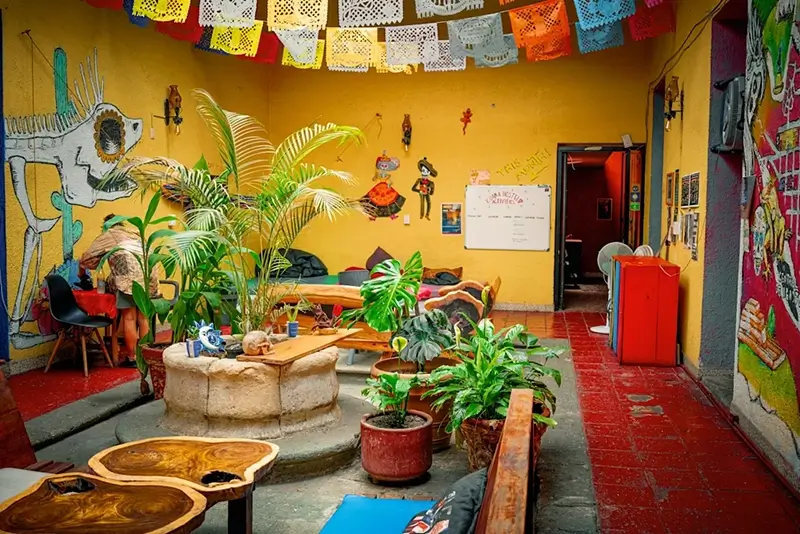 Oaxaca Hostels - Iguana Hostel Oaxaca Common Area