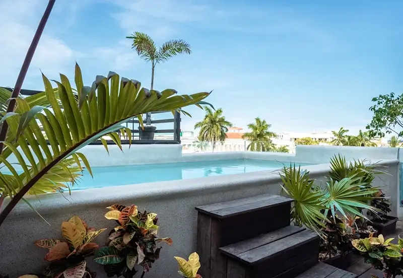 Best Hostels in Playa del Carmen - Maui Hostel Pool