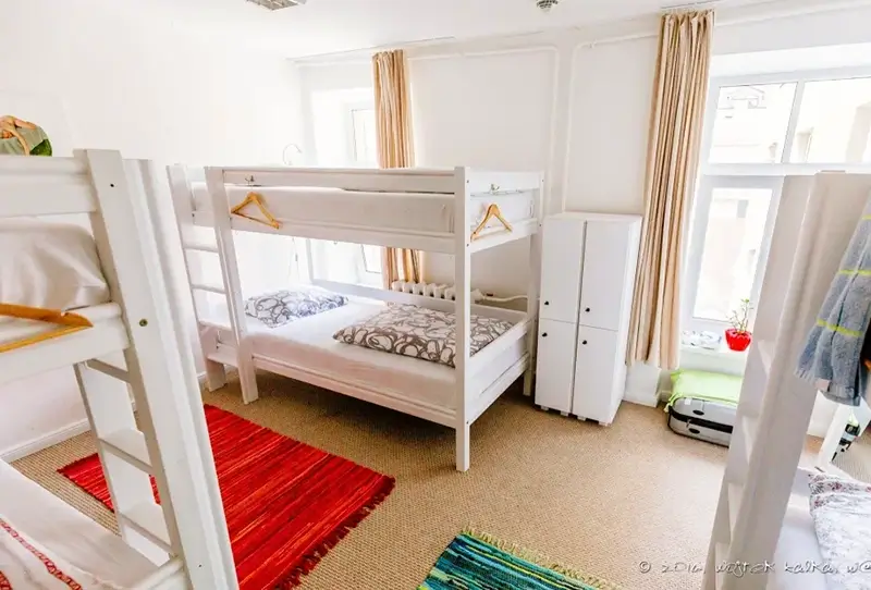 Best Hostels in Riga - Tree House Hostel Dorm Room