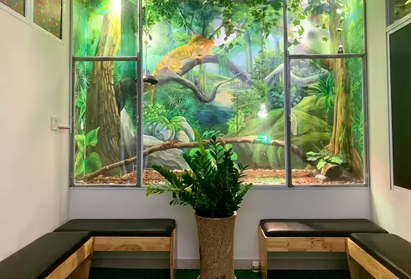 Best Hostels in Nha Trang - Jungle Dorm Nha Trang Common Area