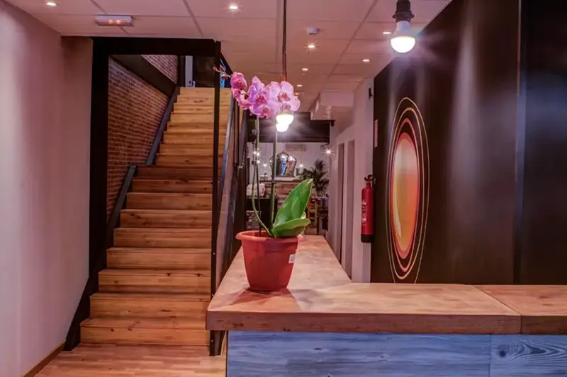 Best Hostels in Alicante - Olé Backpackers Hostel Common Area